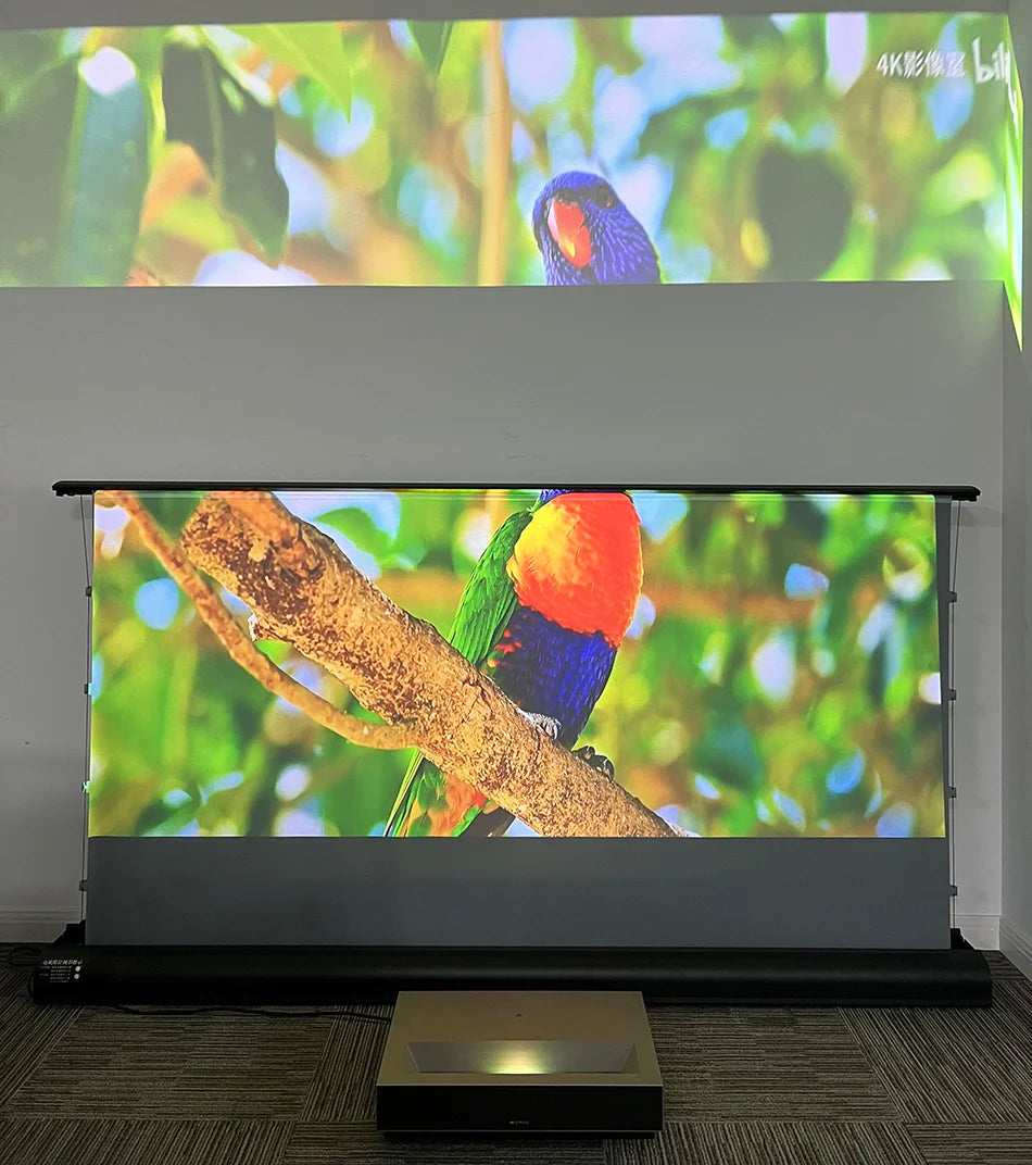 Max Electric Floor-Rising Projector Screen