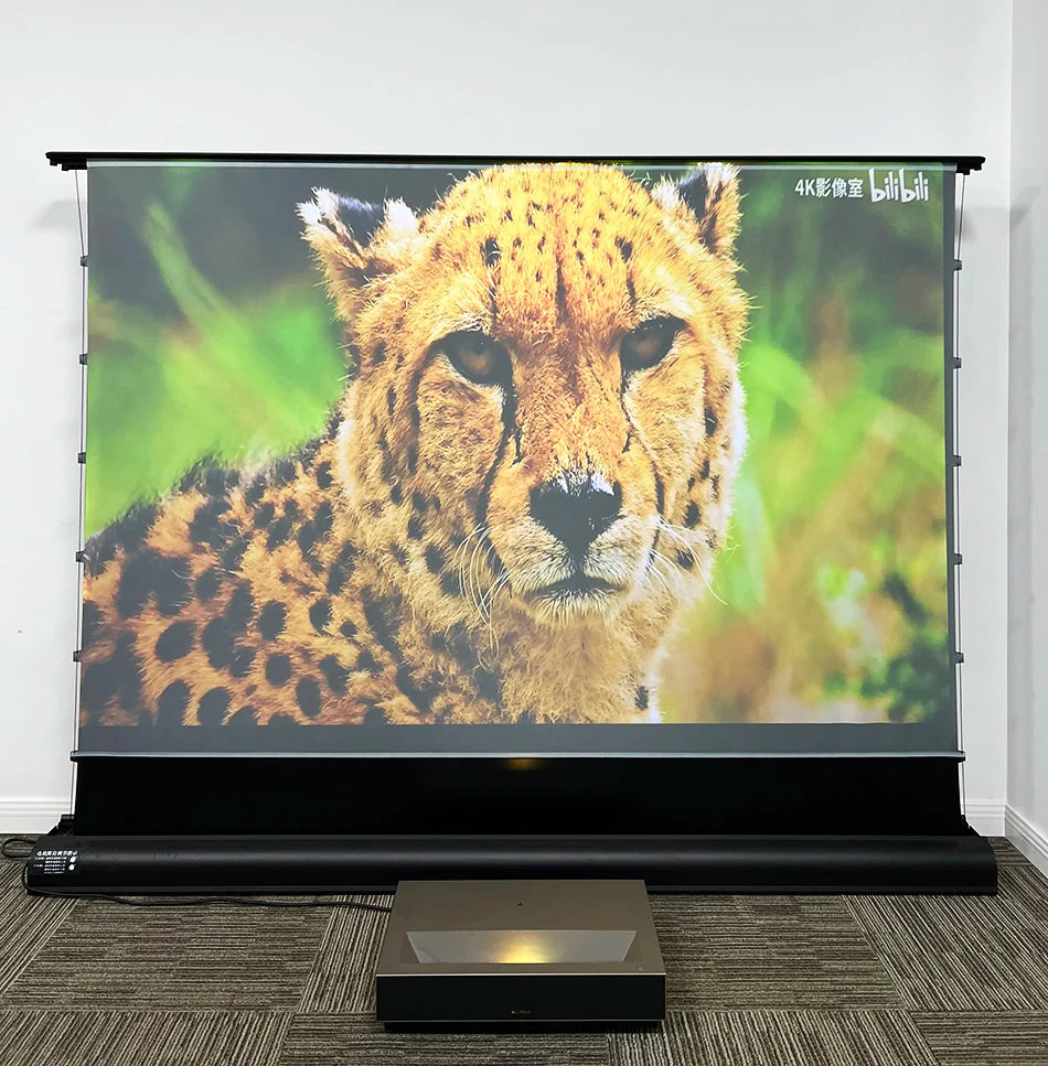 Max Electric Floor-Rising Projector Screen