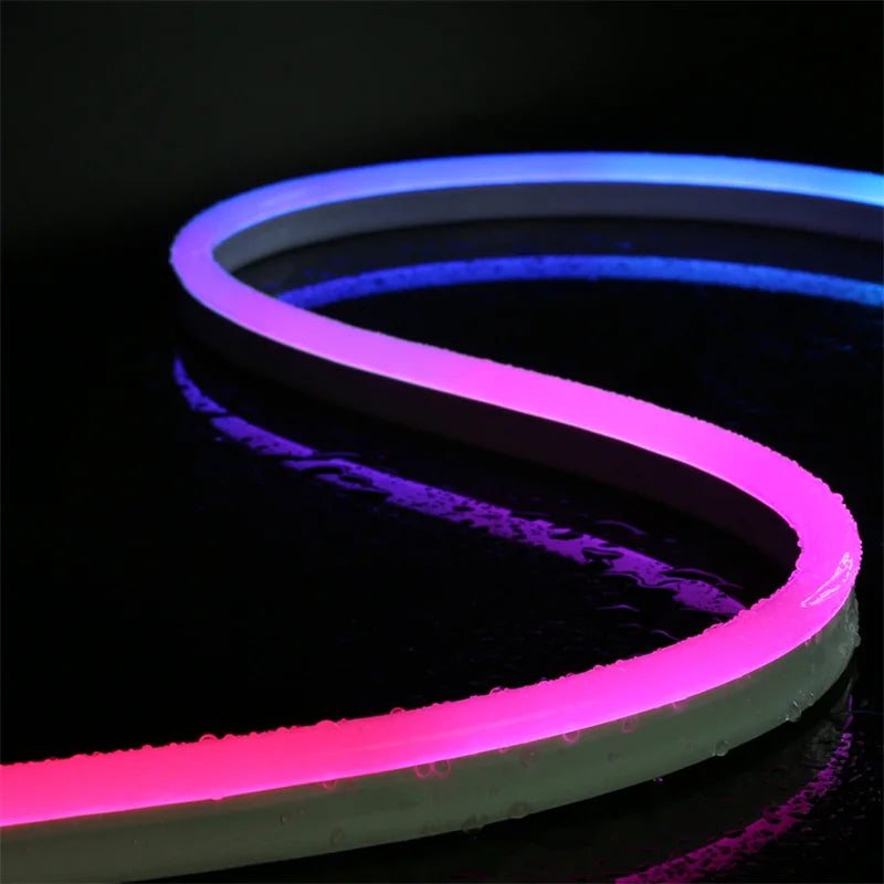 RGBIC Dreamcolor with Music Sync