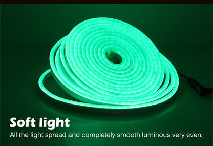 Neon Light Strip LED - 5m