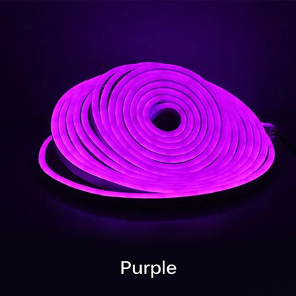 Neon Light Strip LED - 5m