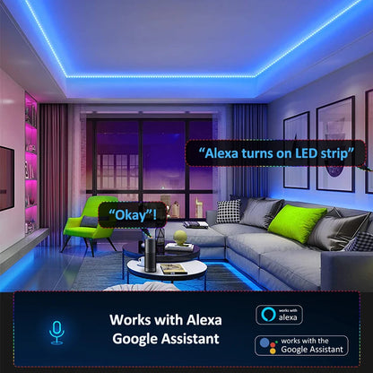 RGBIC Dreamcolor with Music Sync